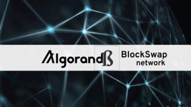 BlockSwap NetzwerkpartnerAlgorandbauenDeFi ProjektdernächstenGenerationAlgoSaver