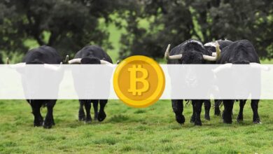 Gründe,warumderBitcoin PreismöglicherweisefürweitereGewinnesorgt:Analyse