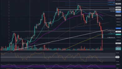 BTC muss dieses Level zurückerobern, um wieder auf die zinsbullische Spur zu kommen