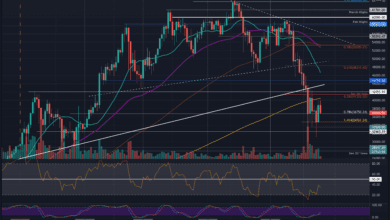 BTCschlägtbei.USDfehl.IstdiezinsbullischeKorrekturvorbei?