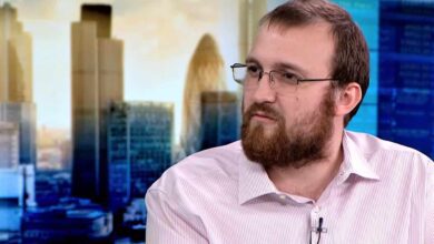 Benutzer begeistert, als Cardano (ADA) Alonzo Testnet startet