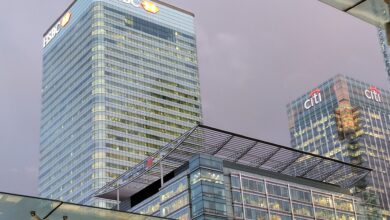 Bitcoin ist zu volatil für uns