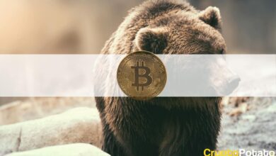 BitcoinsinktbeiElonMusksmassiverKehrtwendeum%