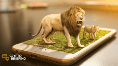 BraveerweitertdieUnterstützungfürCryptoDNS Anbieter