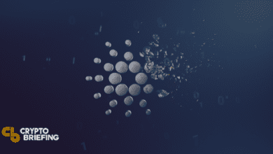 Cardano kurz vor dem Start intelligenter Verträge: Charles Hoskinson