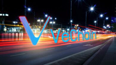 Chinesische Regierungsbeamte treffen sich mit VeChain und loben seine Technologie
