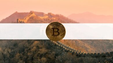 Das China Securities Journal sagt, der Handel mit Kryptowährungen sei riskant und fordere eine strikte Überwachung