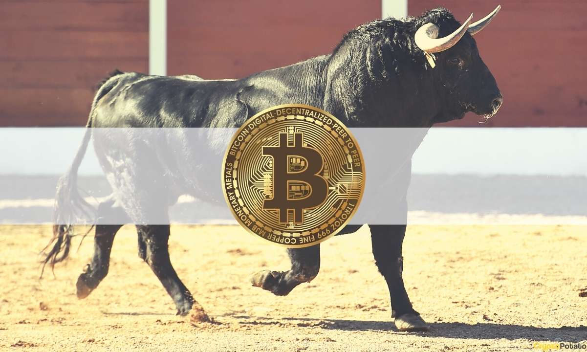 Der Bull Run von Bitcoin ist sehr taktvoll: Analyst