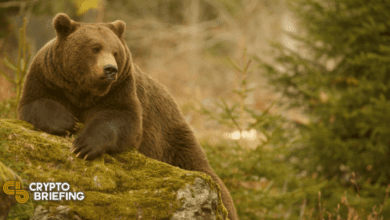 Der Kryptomarkt rutscht nach einer Woche des Chaos weiter ab