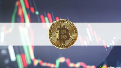 DieAnalyselegtnahe,dassstarkeBitcoin HändediesenDipkaufen