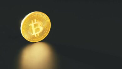 DiebestenBitcoin Mining PoolssignalisierendieAktivierungvonPfahlwurzeln