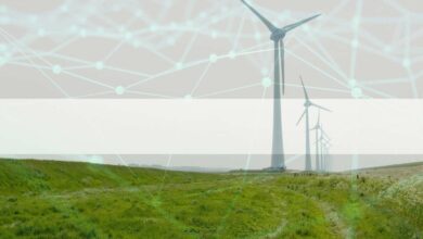 DieseKrypto Börsengeloben,klimaneutralzuwerden