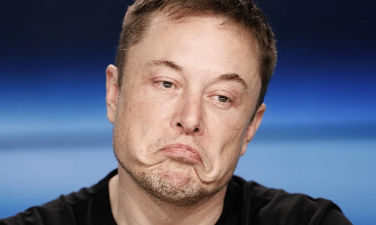 Elon Musk ist nicht mehr der zweitreichste Mensch der Welt