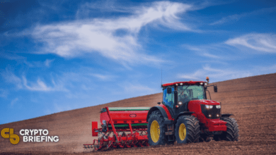 FormationFizumStartenvonCross ChainAMMaufPolygon