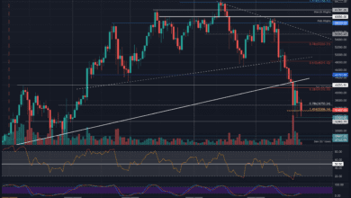 IstdieWiederherstellungnachdemVerlustvon.USDinzweiWocheneingehend?