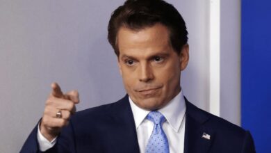 Laut Anthony Scaramucci von SkyBridge Capital ist der Bitcoin Bull Run immer noch "in Takt"