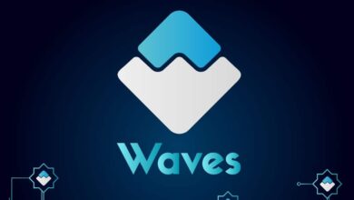 Mai Update: Sollten Sie Waves (WAVES) kaufen oder verkaufen?