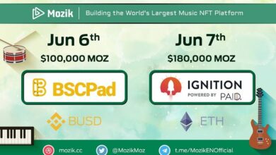 Mozik(MOZ)DoppelterIDO Rundown