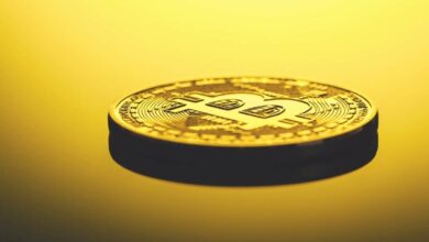 ObwohlBTCinnerhalbwenigerTage.US Dollarverlorenhat,istdieBitcoin PositivitätderCryptoCommunitybeiPeak:Analysis