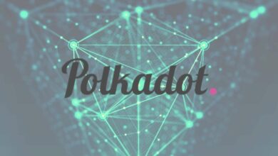 PolkadotsParachain Startphasebeginnt