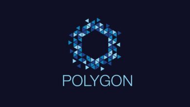 Polygon (MATIC) sieht massive Investitionen, darunter von Mark Cuban