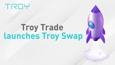 PrimeBrokerage PlattformTroyTradestartetDEXTroySwap