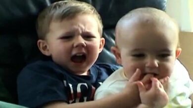 Sensationelles"CharliehatmirindenFingergebissen" Video,dasalsNFTfür.US Dollarversteigertwurde