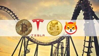 ShibaInu(SHIB)Mania,Dogecoin,TeslasBitcoin HaltundKrypto Marktvolatilität:DiewöchentlicheZusammenfassung