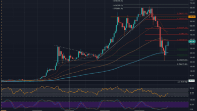 SindnacheinemtäglichenAnstiegvon%fürBNBUS Dollardasnächste?