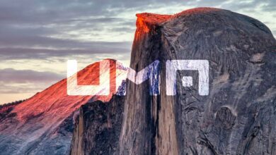 UMA PreisanalysefürJuni