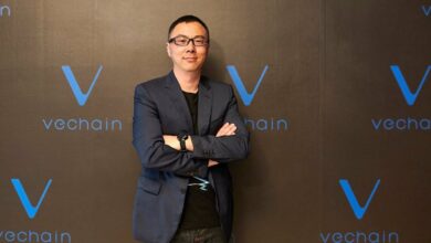 VeChain Preisvorhersage,währendsichderKrypto Ausverkaufintensiviert