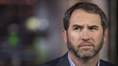 WirhabenkeineHandinElonMusksBedenkenhinsichtlichfossilerBitcoin Brennstoffe BradGarlinghouse