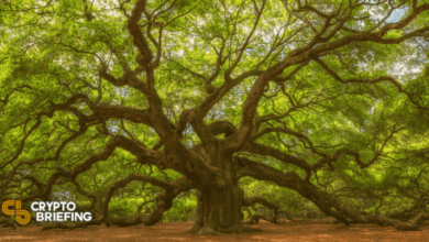 WisdomTreereichteinenEthereumETF AntragbeiderSECein