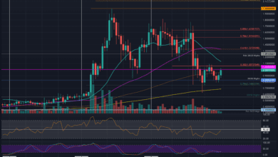XRPBullskämpfenumUSDnacheinemtäglichenAnstiegvon%