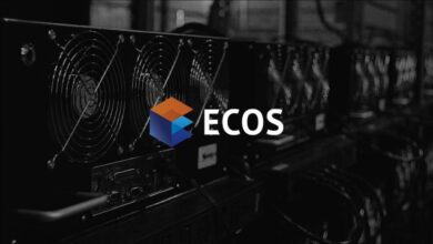 diebestenKrypto ToolsfürIhreInvestitionen