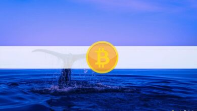 $.PanneoderShortSqueezeIncoming?