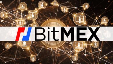 BitMEXundHumanRightsFoundationspenden.US DollaranBitcoinScalingResearcher