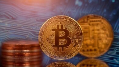 Bitcoin (BTC) und Ethereum (ETH) waren letztes Jahr die besten risikoadjustierten Vermögenswerte