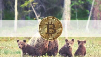 Bitcoin TransfersanSpot BörsenaufhöchstemNiveauseitMärzCrash