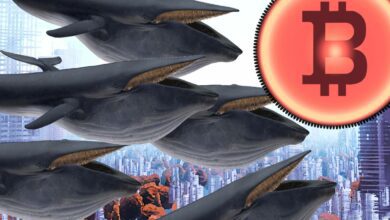 Bitcoin WalesammelninwenigeralseinemMonatleise...$inBTCan:Bericht