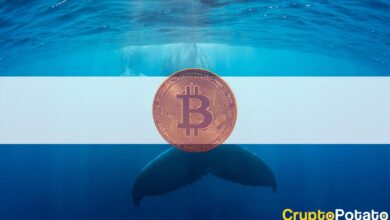 Bitcoin WaleunbeeindrucktvondervonElonMuskinduziertenVolatilitätundkaufenweiter