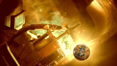 Bitcoinbeäugt.US DollarnachvolatilerWoche–eToroCryptoRoundup