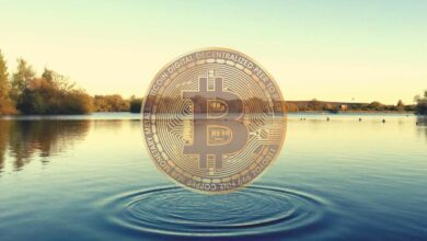 Bitcoinberuhigtsichum.US Dollar(Marktbeobachtung)