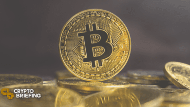 Bitcoin erholt sich bei Elon Musk Tweet, Taproot