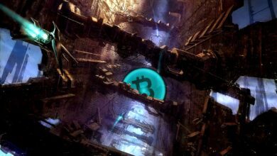 Bitcoiniststarkunterbewertet,daBTClautOn ChainAnalystWillClemente