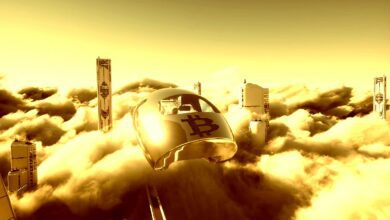 Bitcoin prallt ab, während Elon zum Optimismus von El Salvador beiträgt – eToro Crypto Roundup