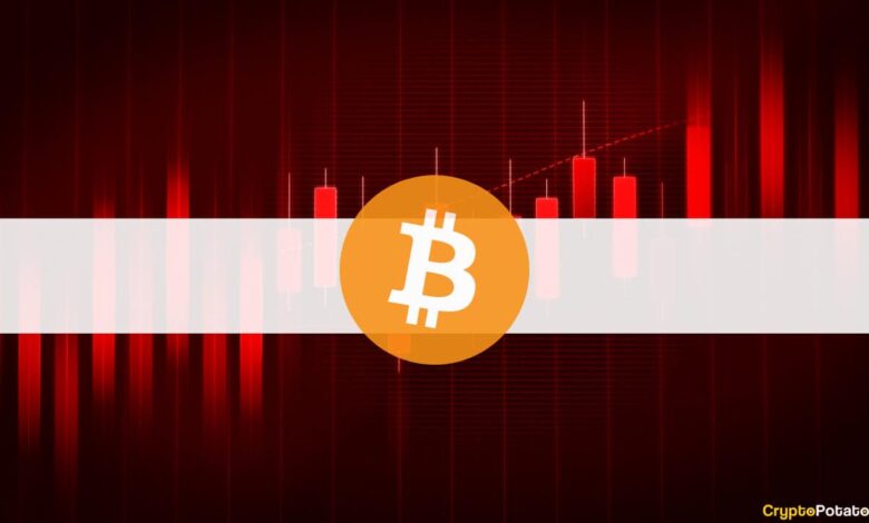 Bitcoin rutscht unter 48.000 USD, da 100 Mrd. USD von der Marktkapitalisierung gelöscht werden (Market Watch), Krypto News Aktuell