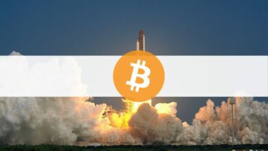 BitcoinsteigtnachElonMusksTweetum.US Dollar,BTC Dominanzsteigt(MarketWatch)