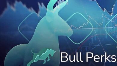 BullPerkswirddaserstedezentraleVC undLaunchpad ProjektzurUnterstützungderbeliebtestenöffentlichenBlockchainsSupport