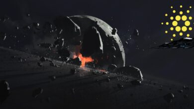 Cardano, Ethereum und zwei Altcoins sollen Feuer fangen, wenn sie diese Preisniveaus halten können: Michaël van de Poppe